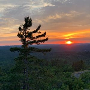 Meet your Posher, Cody